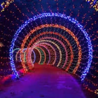 Illuminated Lighting Trails 1